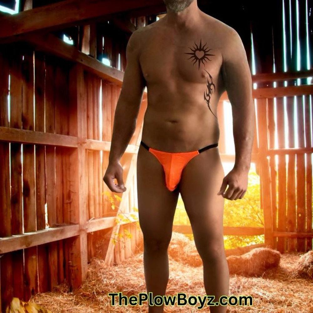 Mens Bikini Style Manhood Pouch Low Waist Underwear
